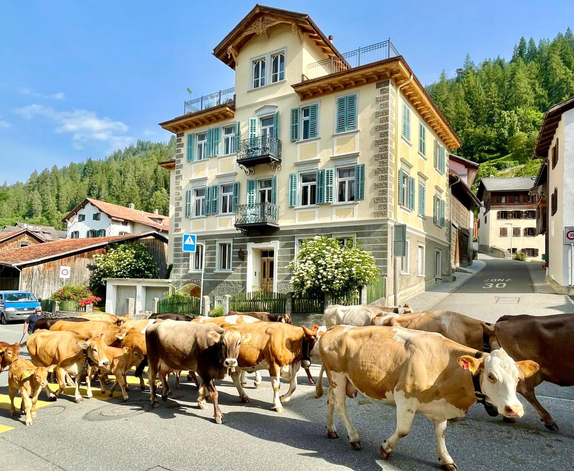 Trin B&B La Scala المظهر الخارجي الصورة